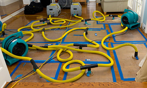 Professional Water Damage Repair technician working in Boiling Springs, NC